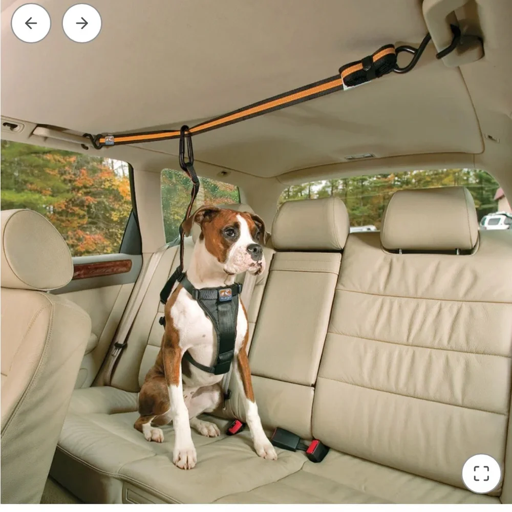 Kurgo Auto Zip Line with Leash for Dogs